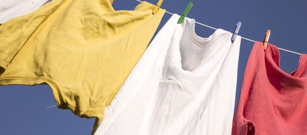چگونه از کپک زدن لباس‌ها جلوگیری کنیم؟ |
 اکتیو کلینرز