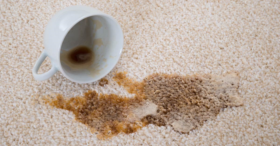 پاک کردن لکه چای  قهوه از روی فرش | اکتیو کلینرز