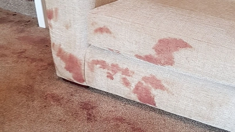 از بین بردن لکه خون روی مبل